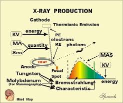 X Ray Production Radiology Student Radiology Technician Radiology Schools