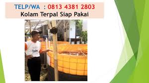 Kolam Ikan Terpal Kolam Ikan Terpal Mini Kolam Ikan Terpal Minimalis Kolam Ikan Terpal Bulat Kolam Ikan Terpal Batako Kolam Ikan Terpal Nil Kolam Surabaya