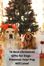 10 Best Christmas Gifts For Dogs Presents Your Pup Will Love Dog Christmas Gifts Dog Gifts Dog Presents
