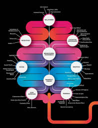This Is Your Brain On Behavioural Economics Behavioral Economics Economics Economics Lessons