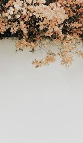 Pinterest Limas Diary Pretty Backgrounds For Iphone Pretty Wallpapers Pretty Backgrounds