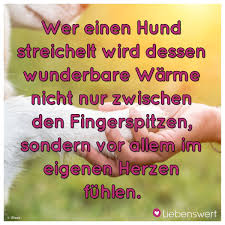Spruche Fur Tierliebhaber So Wahr Zitate Hund Zitat Spruche