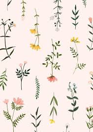 Wildflower Clipart Watercolor Floral Botanical Hand Drawn Png Flowers Clip Art Illustrations Plant Flower Sprig Wedding Floral Elegant Hand Drawn Flowers Flower Illustration Flower Clipart