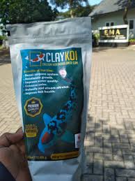 0822 3127 4749 Tsel Beli Penjernih Kolam Koi Berbusa Keruh Berkabut Bergelembung Claykoi Di 2020 Kolam Ikan Ikan Penjernihan Air