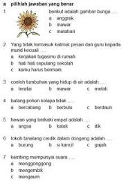 Pin Di Bahasa
