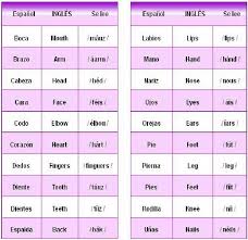 Frases Partes Del Cuerpo En Ingles Partes Del Cuerpo Partes Del Cuerpo Humano