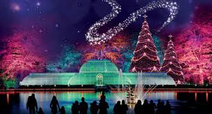 Popping The Question In London This Christmas Kew Gardens Christmas