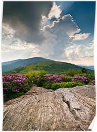 Roan Mountain Rays Jane Bald Landscape Poster By Dave Allen In 2020 Appalachian Trail Beautiful Places Scenic