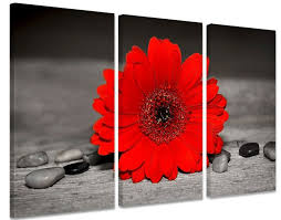 Schilderij Rode Bloem Rode Bloemen Bloem Canvas Schilderij