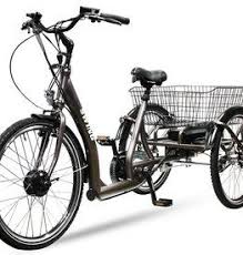 E Bike Lastenrad Pedelec Senioren Dreirad In 2020 Dreirad Pedelec E Bike