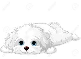 Fluffy Clipart Fluffy Dog 15 Jpg 1300 938 Dog Drawing Dog Paintings Animal Drawings