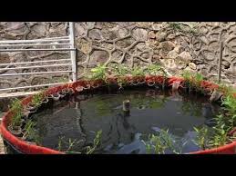 Pin Di Kolam Ikan