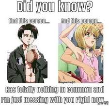 Levi And Pico Attack On Titian And Boku No Pico Lol Anime Memes Funny New Memes Anime Funny