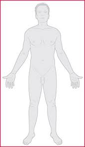 Anatomical Posture Definition Of Anatomical Posture By Medical Dictionary Medical Dictionary Postures Anatomical
