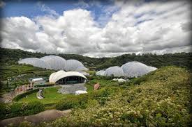 Promoting The Planet S Plants And People Future Or Probably The Best Jobs In British Botany Oxford Botanic Garden Kew Gardens Plant Science