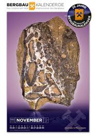 Kleinvoigtsberg Alte Hoffnung Gottes Erbstolln Gangstuck Mit Kokardenerz Slg Lagerstattensammlung Der Tu Bergakadem Bergbau Kalender Das Original