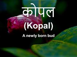 16 Beautiful Untranslatable Hindi Words You Didn T Know You Needed Hindi Words Words Words In Different Languages