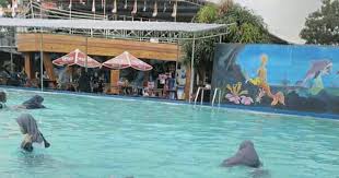 Lokasi J J Kuningan Alamat J J Kuningan Tiket J J Kuningan Tiket Masuk J J Kuningan Jawa Barat Tiket Masuk Kolam Renang J J Kuningan H Tempat Kolam Kuning