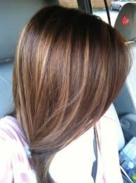 Straight Dark Brown Hair With Highlights Shoulder Length Google Search Hair Highlights Brown Hair With Highlights Hair Styles