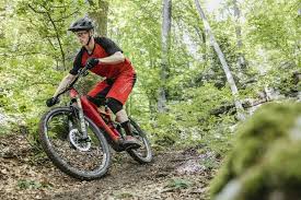 Flyer Uproc6 Uphill Rakete Downhill Rocker In 2020 Mountainbike Federgabel E Bike