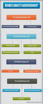 Business Analyst Career Hierarchy Business Analyst Career Business Analyst Business Management Degree