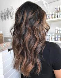 Roasted Almond Highlights Haircolor Brown Hair With Highlights Hair Highlights Dark Hair With Highlights