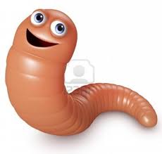 The 30 Happiest Facts Of All Time Happy Facts Facts Happy Animals