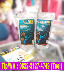 0822 3127 4749 Tsel Harga Penjernih Kolam Koi Berbusa Keruh Berkabut Bergelembung Claykoi Di 2020 Kolam Ikan Ikan Kolam