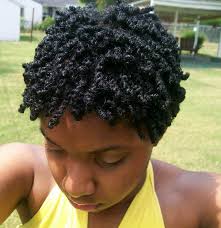 Pin By Jasmine Lovetta On Natural Styles Short Natural Hair Styles Natural Hair Twists Natural Hair Styles