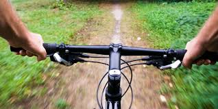 Die Richtige Einstellung Der Lenkerhohe Am Fahrrad