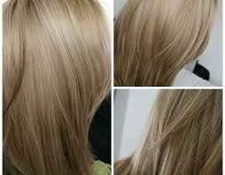 6e18e0b6dc2e7f5fcaea416d404c4c55 Jpg 404 404 Dyed Blonde Hair Blonde Hair Color Ash Blonde Hair Colour