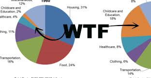 If You Re Thinking Of Having Kids Anytime Ever This Pie Chart Might Make You Stop And Go Wtf Childrens Rights Informative Pie Chart