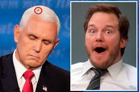 The Funniest Mike Pence Fly Memes And Reactions From Last Night S Vice Presidential Debate