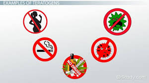 Teratogen In Pregnancy Definition Exposure Examples Video Lesson Transcript Study Com