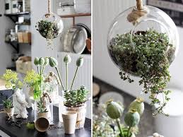 Urban Jungle In Der Kuche Schon Bei Dir By Depot Glaskugel Wohnzimmer Pflanzen Hangepflanzen