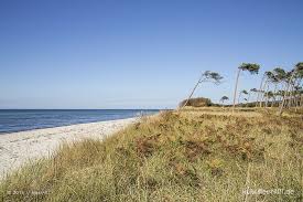 Der Darsser Weststrand Wild Rau Und Charmant Meerart In Die Wildnis Fotomotive Sandstrand