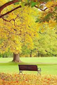 Pensee Certitude Confiance Comportement Autorite Environnement Personnalite Motivation Conscience Mediation Coac Paysage Automne Paysage Belle Nature