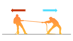Bbc Standard Grade Bitesize Physics Forces At Work Revision Physics Force And Motion Applied Science