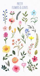 Watercolor Wildflowers Clip Art Spring Cute Floral Clipart Etsy In 2020 Cute Flower Drawing Watercolor Flowers Paintings Flower Drawing