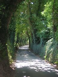 Janet W1 Jersey Channel Islands Guernsey Island Places To Go