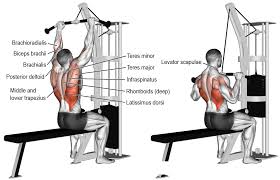 Comment Effectuer Le Tirage Horizontale Prise Serre Musculation Musculation Dos Poulie Musculation