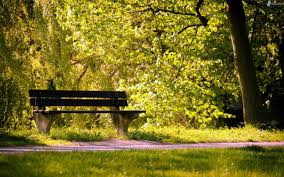 Banc Dans Un Parc Telecharger L Image Bancs De Parc Banc Parc