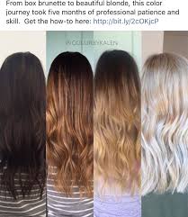 Pin By Bernadette Price On Hair Inspiration Brunette To Blonde Blonde Hair Transformations Dark To Light Hair