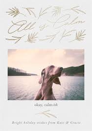 Calm Dog Calm Dogs Dog Mom Dog Lovers