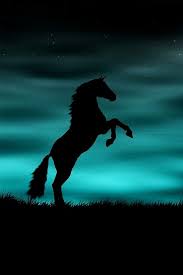 Cellphone Wallpaper Telefon Duvar Kagidi Horse Background Horse Silhouette Horse Wallpaper
