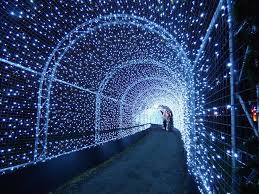 Dazzling Light Festivals To See In London This Winter Https Londonist Com London Things To Do Kew Gardens Christmas London Christmas Outdoor Christmas Lights