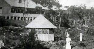 E G Waterhouse National Camellia Gardens In Caringbah In Southern Sydney Once Called The Matson Pleasure Grounds Old Photos Wonderful Places New South Wales