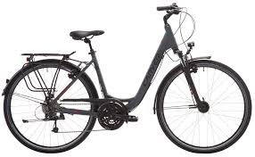 Carver Tour 120 28 Zoll Kaufen Fahrrad Xxl Fahrrad Xxl Fahrrad Rennrad