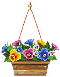 Hanging Box With Violets Png Clipart Picture Gallery Yopriceville High Quality Images And Transparent Png Free Clipart Clip Art Flower Art Flower Clipart
