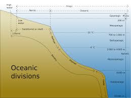1 3 Marine Provinces Introduction To Oceanography